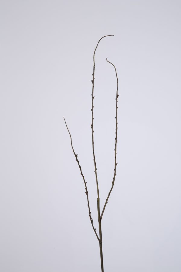 Mini Twig Spray w/3 Branch 65cm