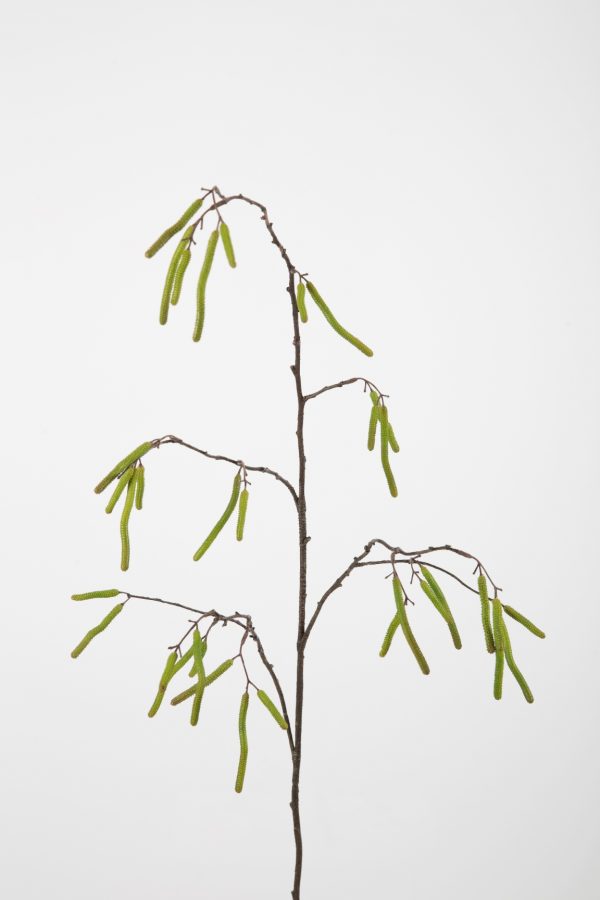 Catkins Branch 100 cm