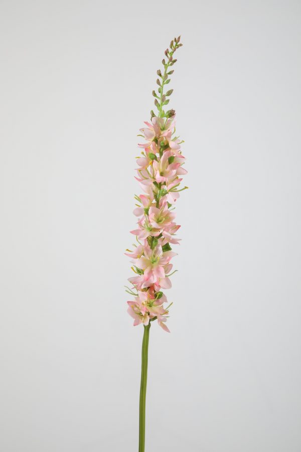 Foxtail Lily S. 58cm